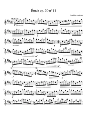 24 Etudes for Flute Op.30