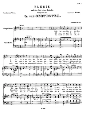 Elegie auf den Tod eines Pudels