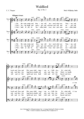 Waldlied, Op. 11, No. 2