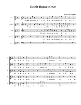 Sospir fugace e leve