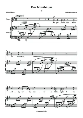 Der Nussbaum
