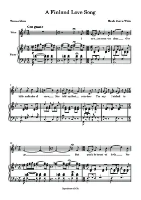 A Finland Love Song