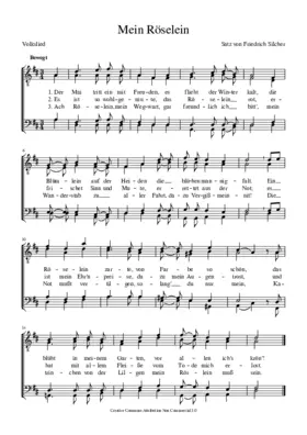 Mein Röselein