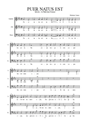 Puer natus