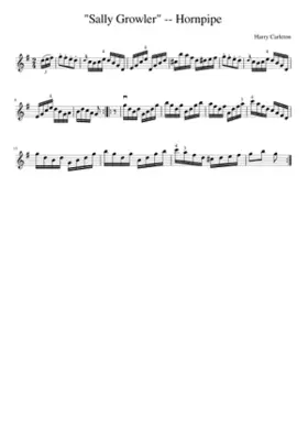 Sally Growler -- Hornpipe