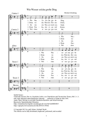 Wie Wasser solche große Ding