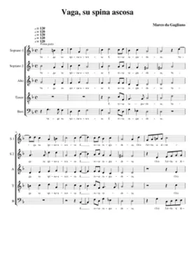 Vaga su spina ascosa