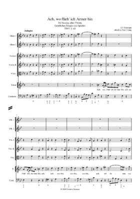 Ach, wo flieh' ich Armer hin, TWV 1:43