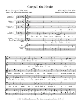 Compel the hawk to sit