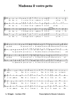 Madonna il vostro petto