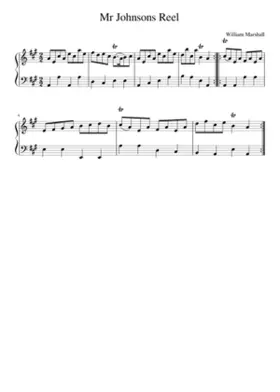 Mr Johnsons Reel