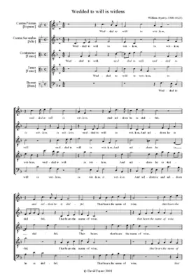 Wedded to will is witless