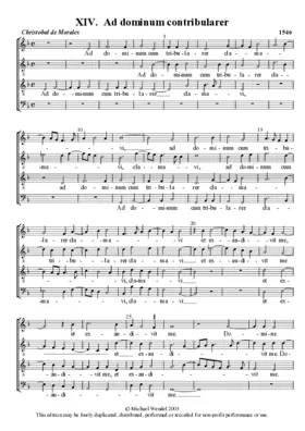 Ad Dominum cum tribularer