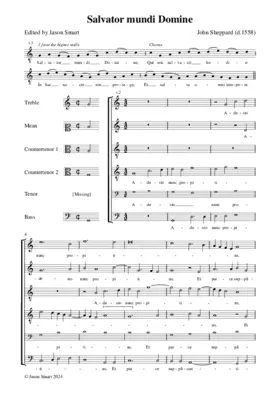 Salvator mundi, Domine