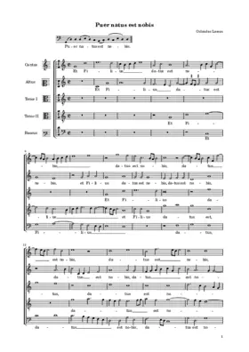 Puer natus est nobis