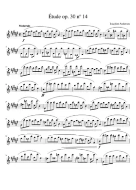 24 Etudes for Flute Op.30