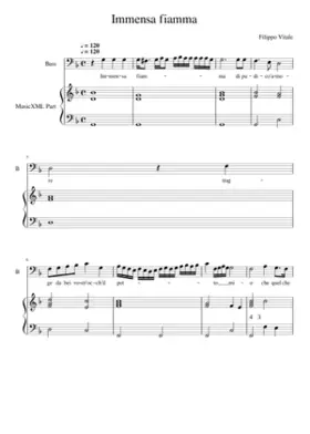 Immensa fiamma