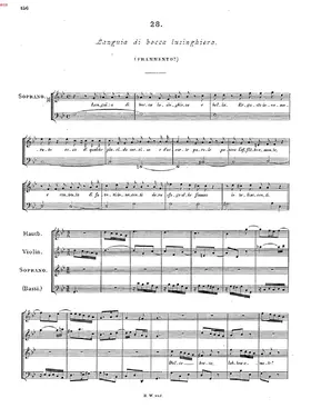 Languia di bocca lusinghiera