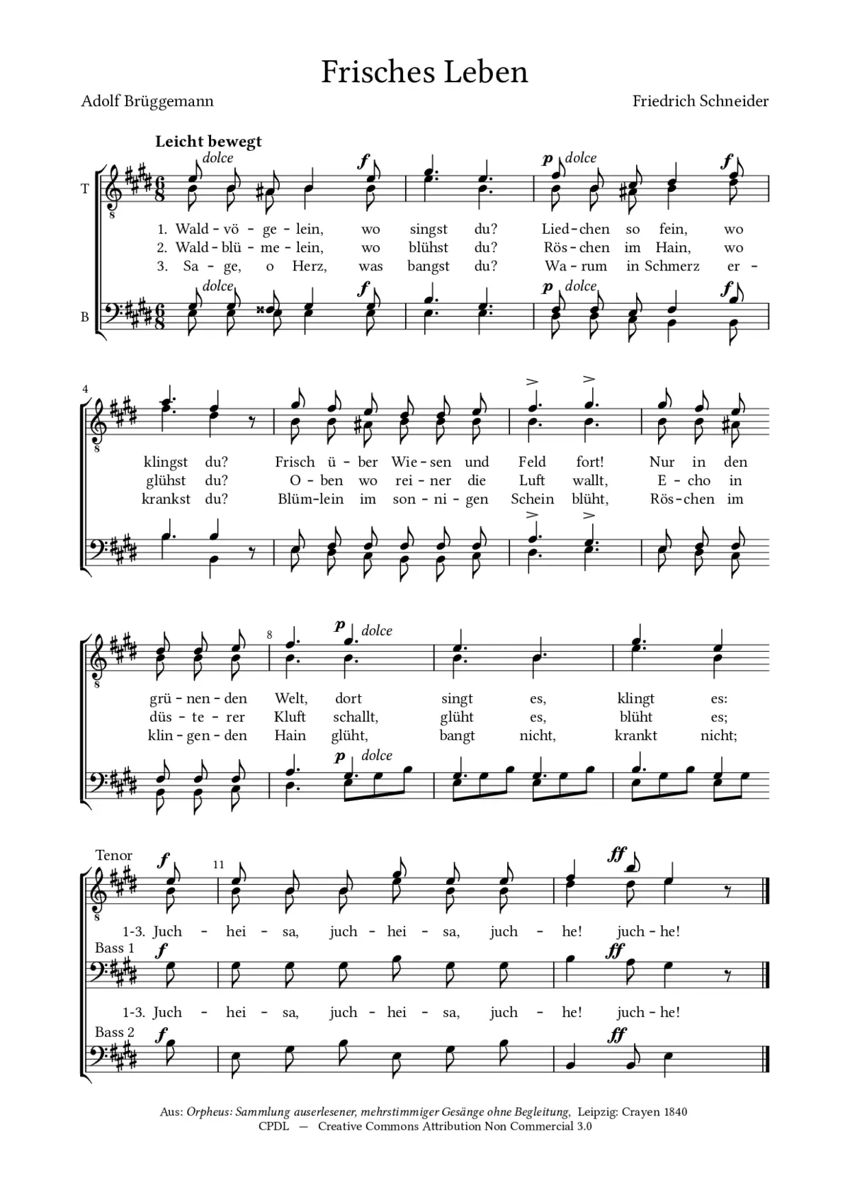 Frisches Leben - Page 1