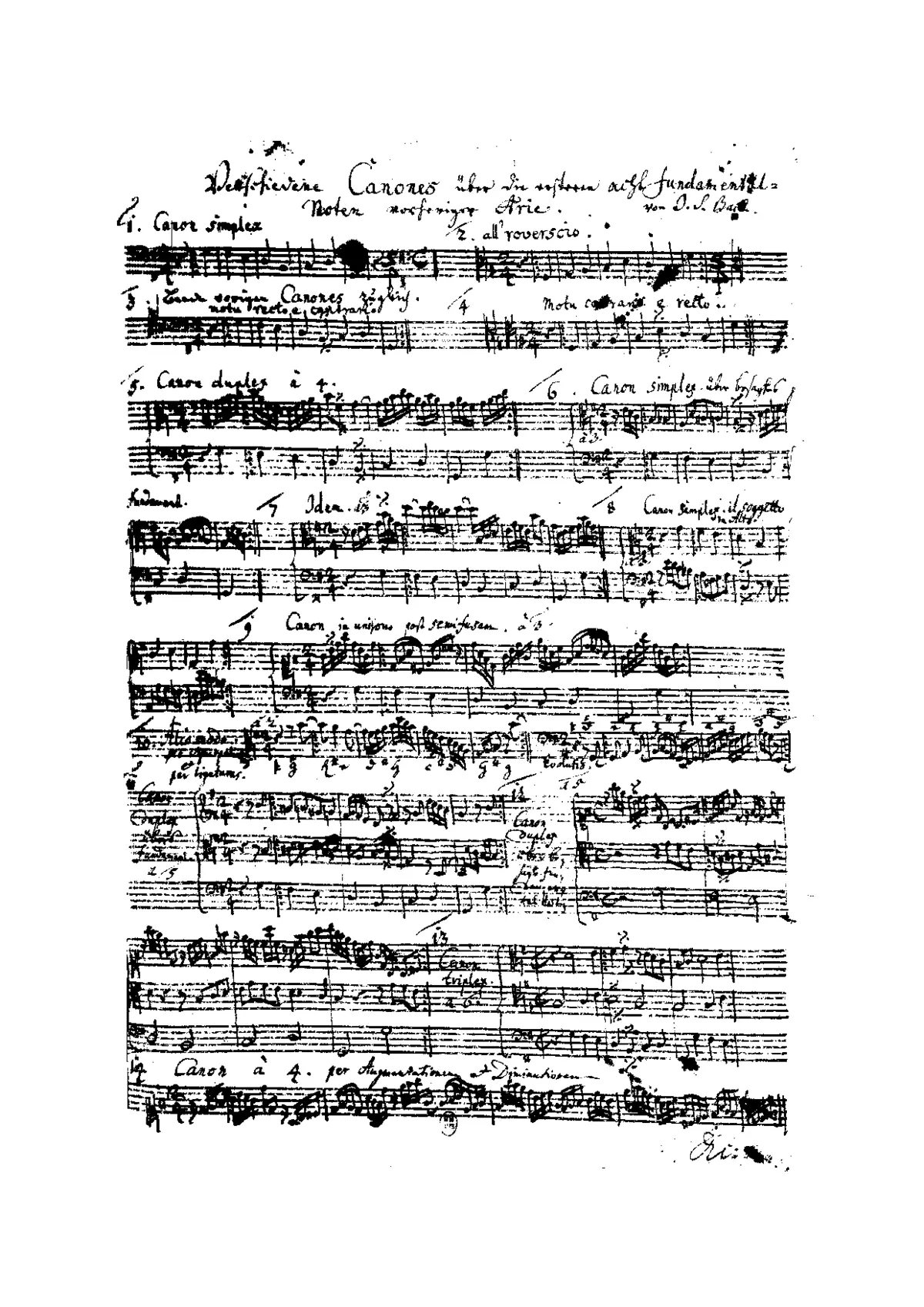14 Canons - Page 1