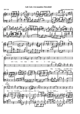Ach Gott, wie manches Herzeleid, BWV 58