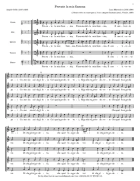 Provate la mia fiamma