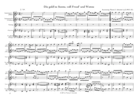 12 Arien und Lieder aus Schemellis Gesangbuch und A.M.Bachs Notenbuchfür die Tageszeiten und andere Anlässe