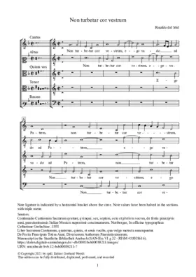 Non turbetur cor vestrum