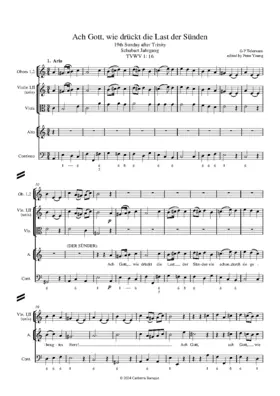 Ach Gott, wie drückt die Last der Sünden, TWV 1:16