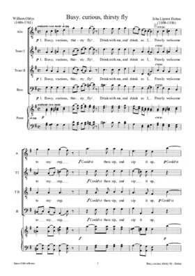 Busy, curious, thirsty fly