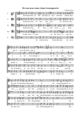 De tout mon cœur j'aime la marguerite