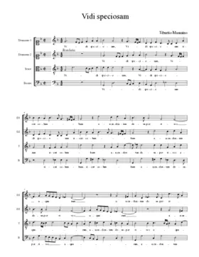 Vidi speciosam