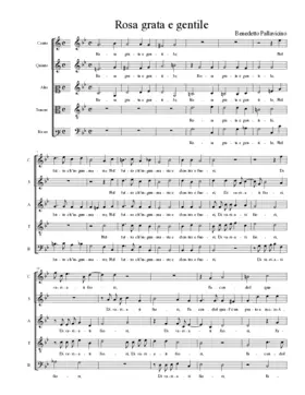 Rosa grata e gentile