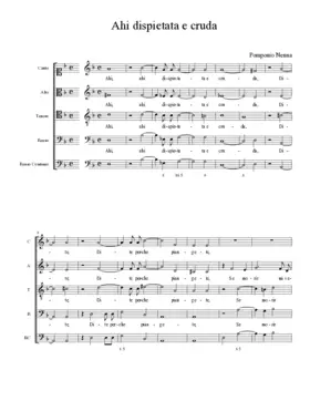 Ahi dispietata e cruda