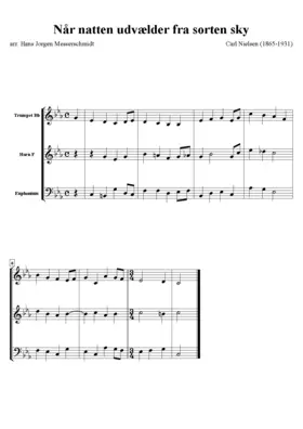 Syndfloden