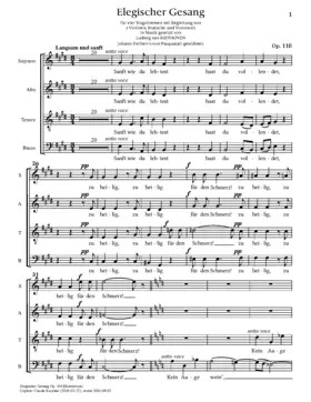 Elegischer Gesang