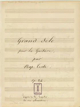 Grand Solo, Op.24