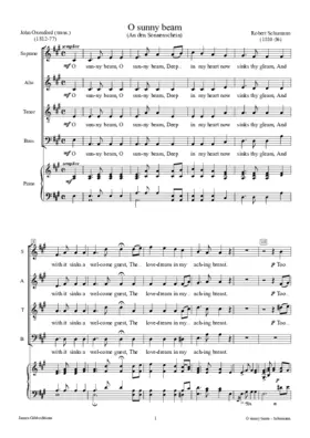 An den Sonnenschein, Op. 36 No 4