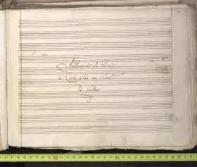 Ostro picta, armata spina