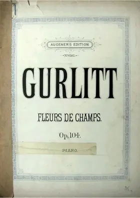Fleurs de Champs