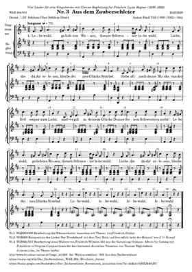 Aus dem Zauberschleier