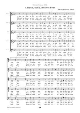 Sieh da, sieh da, ihr lieben Herrn