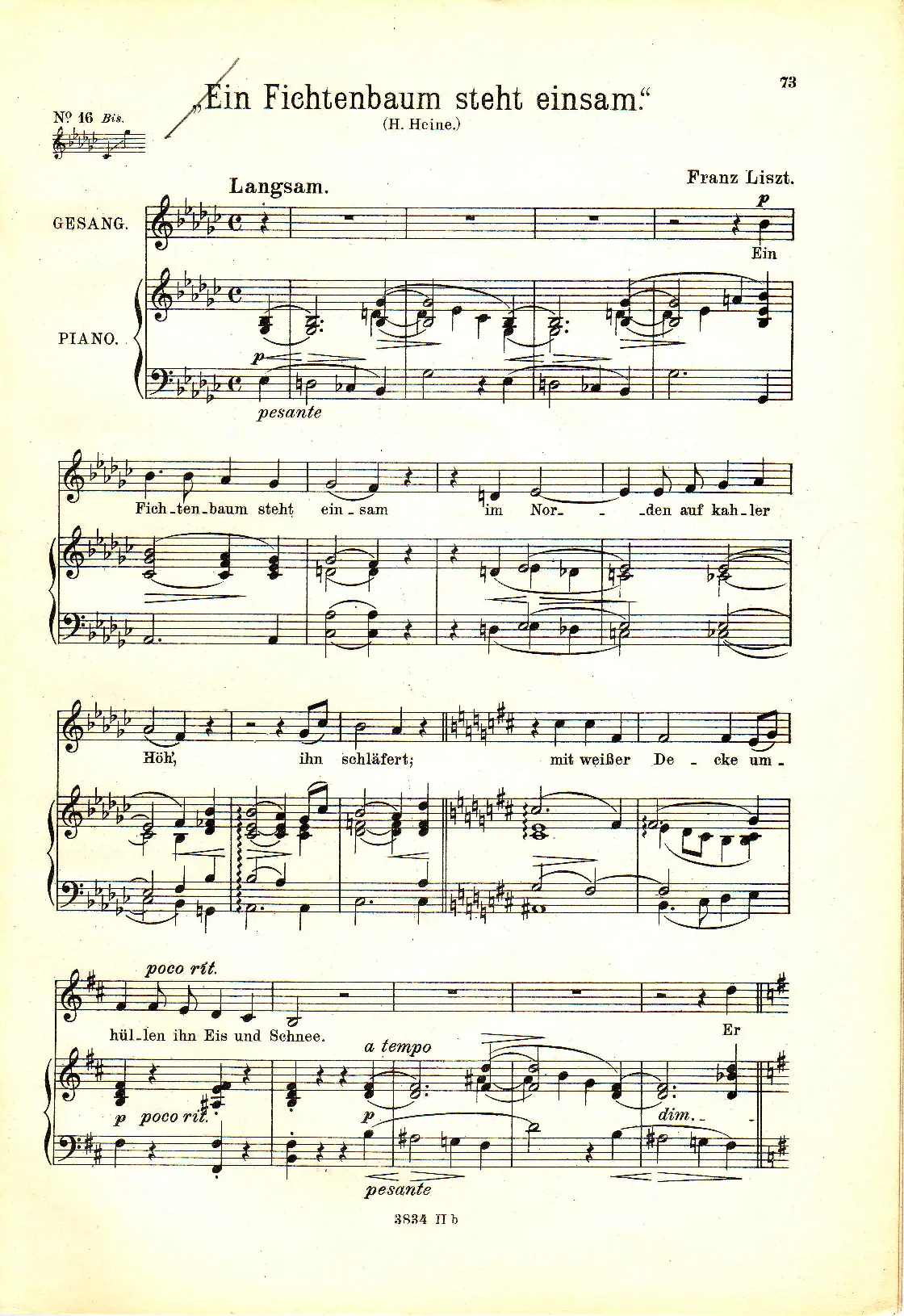 Ein Fichtenbaum steht einsam II - Page 1