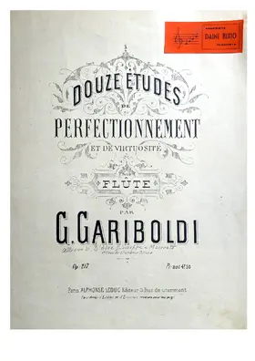 12 Etudes de Perfectionnement et de Virtuosité