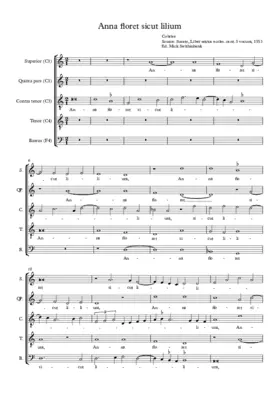 Anna floret sicut lilium