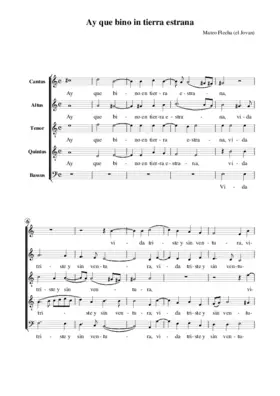 Ay que biño en tierra estraña