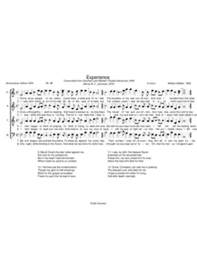 Experience - William Walker