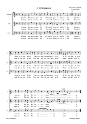 Il Tormentato (Non mi dar tanto martir)